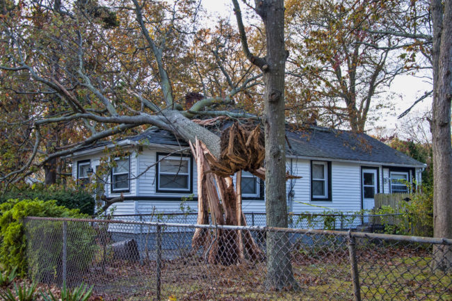 A tree felled by hurricane Sandy lands on a home inflicting damage.