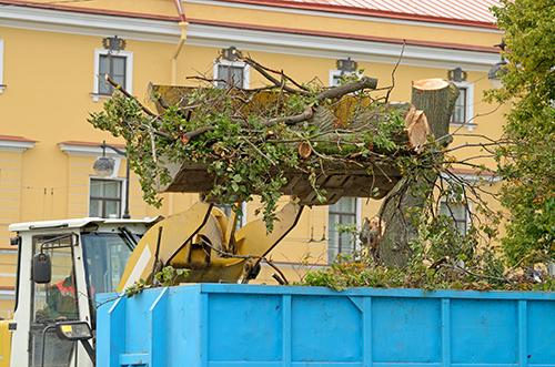 On the streets, cut off dry branches on trees.The tractor dumps them in the trash.